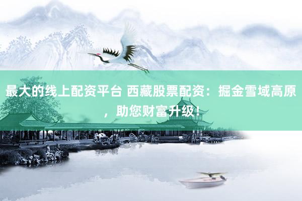 最大的线上配资平台 西藏股票配资：掘金雪域高原，助您财富升级！