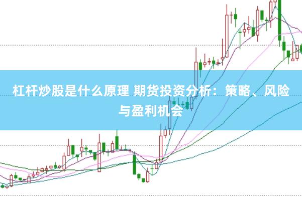 杠杆炒股是什么原理 期货投资分析：策略、风险与盈利机会