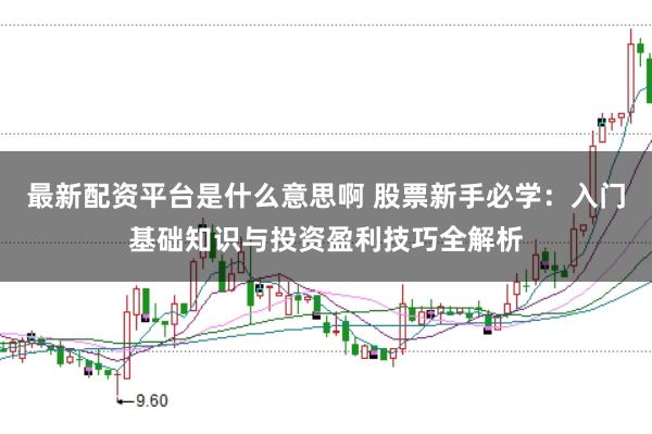 最新配资平台是什么意思啊 股票新手必学：入门基础知识与投资盈利技巧全解析