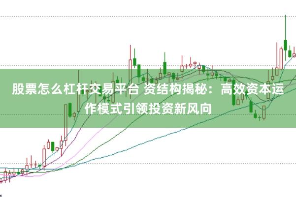股票怎么杠杆交易平台 资结构揭秘：高效资本运作模式引领投资新风向