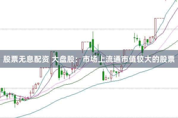 股票无息配资 大盘股：市场上流通市值较大的股票