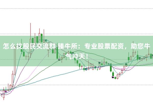 怎么找股民交流群 臻牛所：专业股票配资，助您牛气冲天！