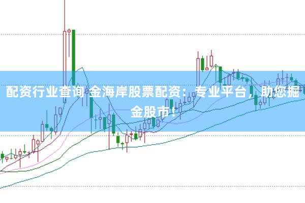 配资行业查询 金海岸股票配资：专业平台，助您掘金股市！