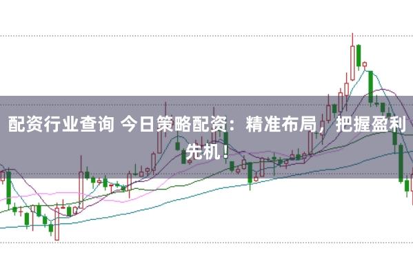 配资行业查询 今日策略配资：精准布局，把握盈利先机！