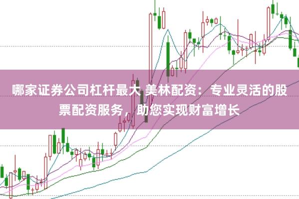 哪家证券公司杠杆最大 美林配资：专业灵活的股票配资服务，助您实现财富增长