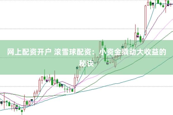 网上配资开户 滚雪球配资：小资金撬动大收益的秘诀