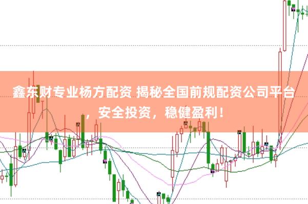 鑫东财专业杨方配资 揭秘全国前规配资公司平台，安全投资，稳健盈利！