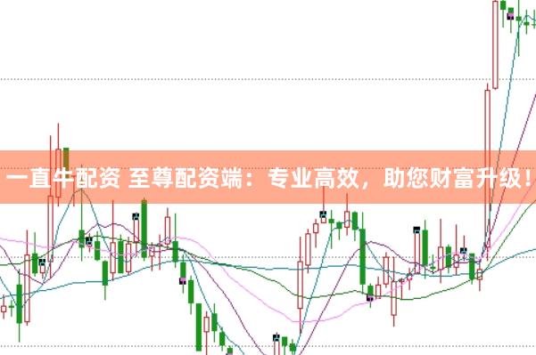 一直牛配资 至尊配资端：专业高效，助您财富升级！