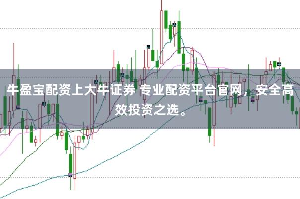 牛盈宝配资上大牛证券 专业配资平台官网，安全高效投资之选。
