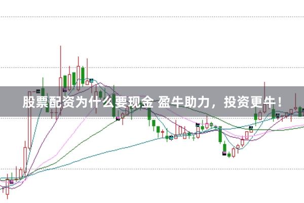 股票配资为什么要现金 盈牛助力，投资更牛！