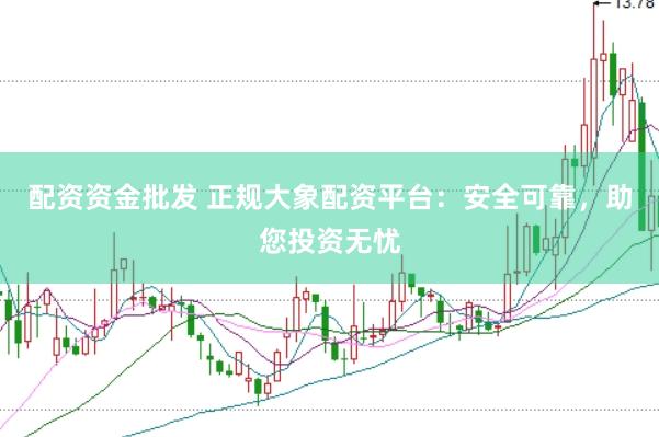 配资资金批发 正规大象配资平台：安全可靠，助您投资无忧