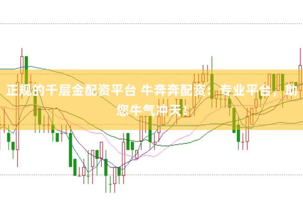 正规的千层金配资平台 牛奔奔配资：专业平台，助您牛气冲天！