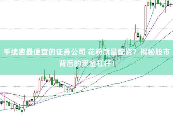 手续费最便宜的证券公司 花粉就是配资？揭秘股市背后的资金杠杆！