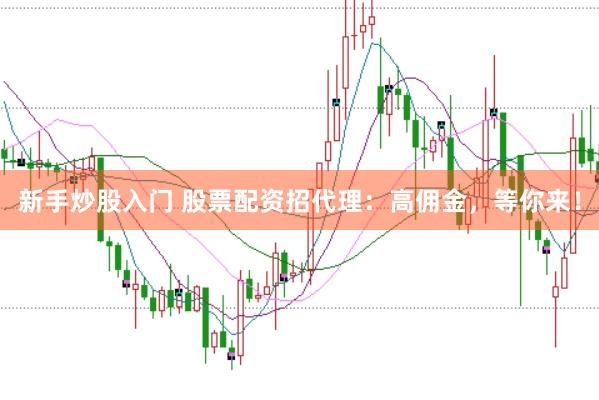 新手炒股入门 股票配资招代理：高佣金，等你来！