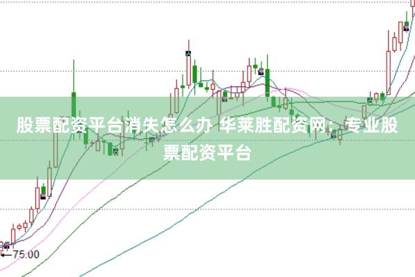 股票配资平台消失怎么办 华莱胜配资网：专业股票配资平台