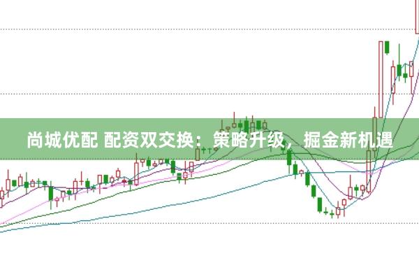 尚城优配 配资双交换：策略升级，掘金新机遇