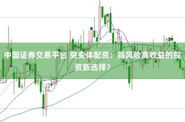 中国证券交易平台 突变体配资：高风险高收益的投资新选择？