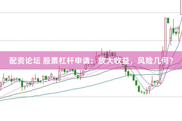 配资论坛 股票杠杆申请：放大收益，风险几何？