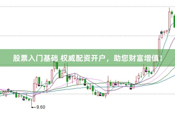 股票入门基础 权威配资开户,助您财富增值!