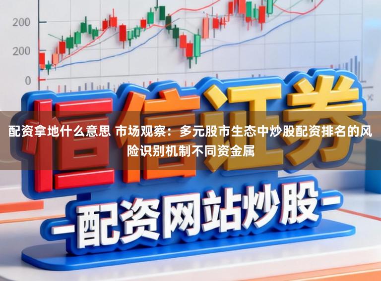 配资拿地什么意思 市场观察：多元股市生态中炒股配资排名的风险识别机制不同资金属