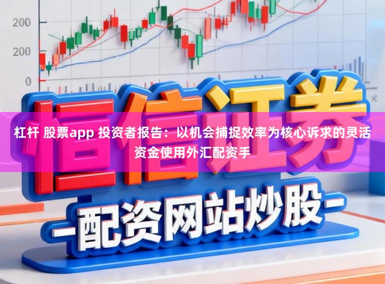 杠杆 股票app 投资者报告：以机会捕捉效率为核心诉求的灵活资金使用外汇配资手